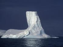 Weddell Sea, Riiser-Larsen Ice Shelf, Emperor Penguins and Chick, Antarctica-Allan White-Photographic Print
