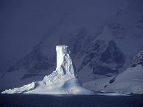 Weddell Sea, Riiser-Larsen Ice Shelf, Emperor Penguins and Chick, Antarctica-Allan White-Framed Premier Image Canvas