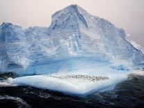 Wiencke Island, Port Lockroy, Gentoo Penguins on Sea-Ice with Cruise Ship Beyond, Antarctica-Allan White-Photographic Print