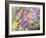 Allans Garden-Sharon Pitts-Framed Giclee Print