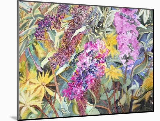 Allans Garden-Sharon Pitts-Mounted Giclee Print