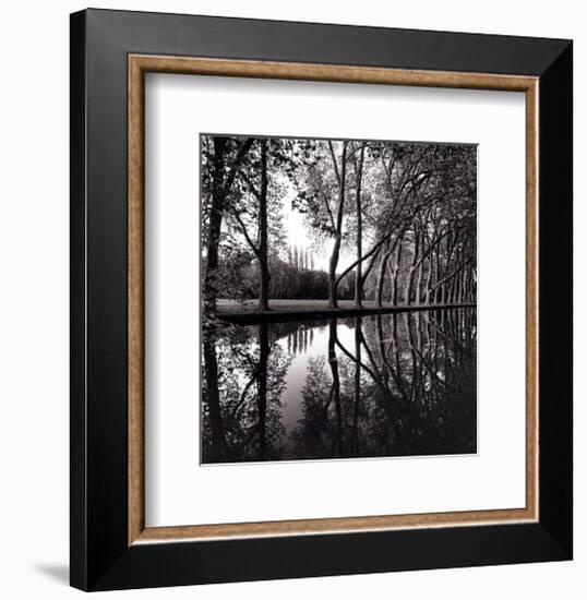 Alle'e d'Honneur, Coarances, France-Michael Kenna-Framed Art Print