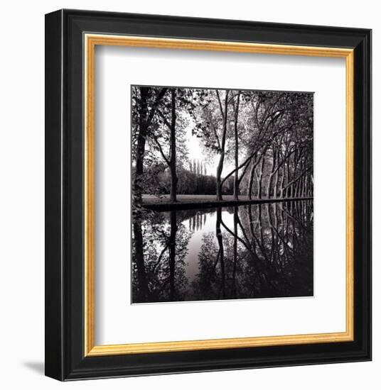 Alle'e d'Honneur, Coarances, France-Michael Kenna-Framed Art Print