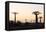 Allee de Baobab (Adansonia), at sunrise, western area, Madagascar, Africa-Christian Kober-Framed Premier Image Canvas