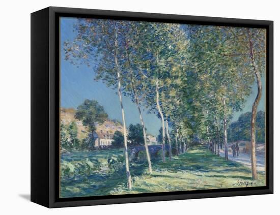 Allée de peupliers aux environs de Moret-sur-Loing-Alfred Sisley-Framed Premier Image Canvas