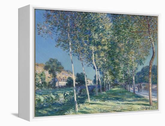 Allée de peupliers aux environs de Moret-sur-Loing-Alfred Sisley-Framed Premier Image Canvas