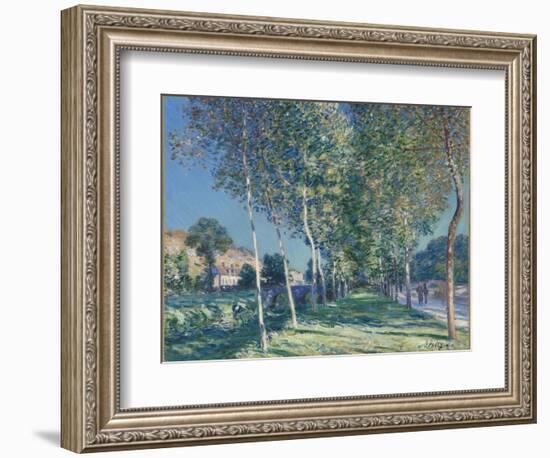 Allée de peupliers aux environs de Moret-sur-Loing-Alfred Sisley-Framed Giclee Print