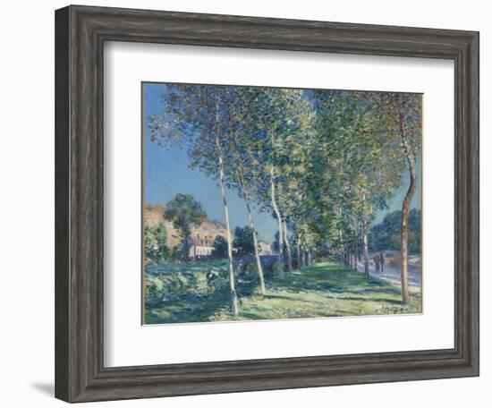 Allée de peupliers aux environs de Moret-sur-Loing-Alfred Sisley-Framed Giclee Print