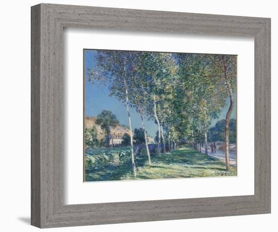 Allée de peupliers aux environs de Moret-sur-Loing-Alfred Sisley-Framed Giclee Print