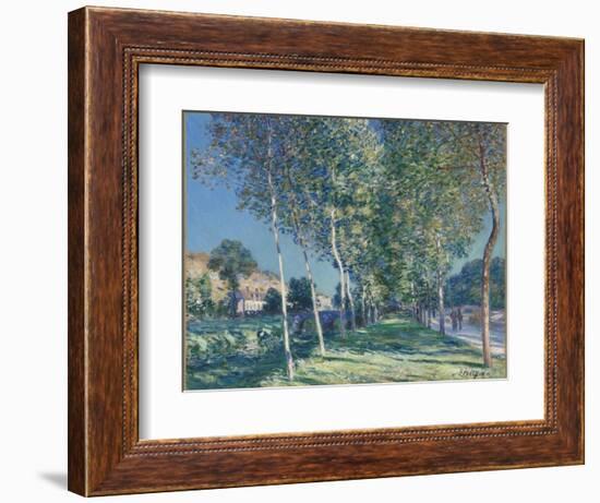 Allée de peupliers aux environs de Moret-sur-Loing-Alfred Sisley-Framed Giclee Print