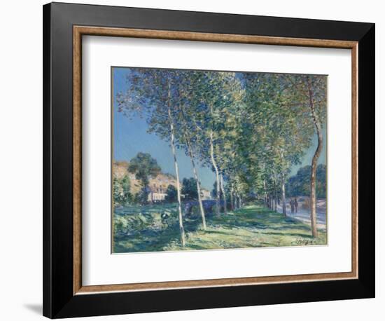 Allée de peupliers aux environs de Moret-sur-Loing-Alfred Sisley-Framed Giclee Print