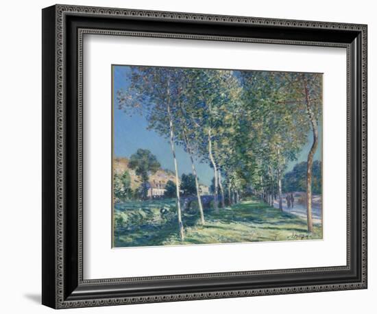 Allée de peupliers aux environs de Moret-sur-Loing-Alfred Sisley-Framed Giclee Print