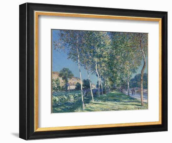 Allée de peupliers aux environs de Moret-sur-Loing-Alfred Sisley-Framed Giclee Print