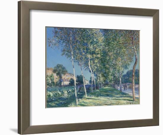 Allée de peupliers aux environs de Moret-sur-Loing-Alfred Sisley-Framed Giclee Print