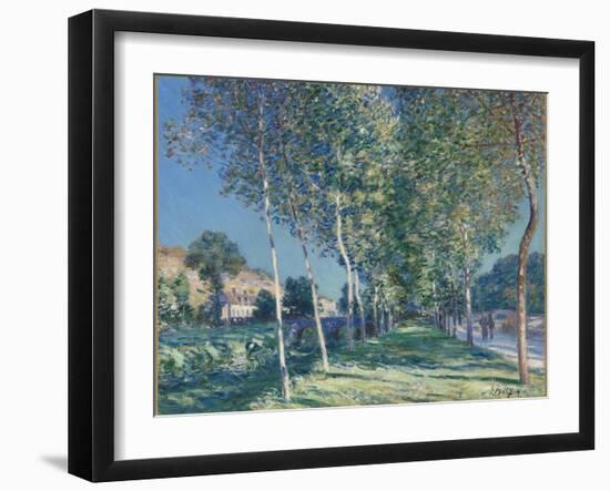 Allée de peupliers aux environs de Moret-sur-Loing-Alfred Sisley-Framed Giclee Print