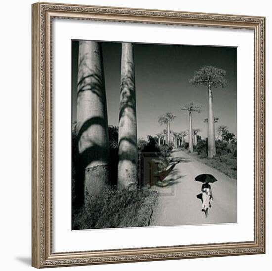 Allee des Baobabs II-Chris Simpson-Framed Art Print