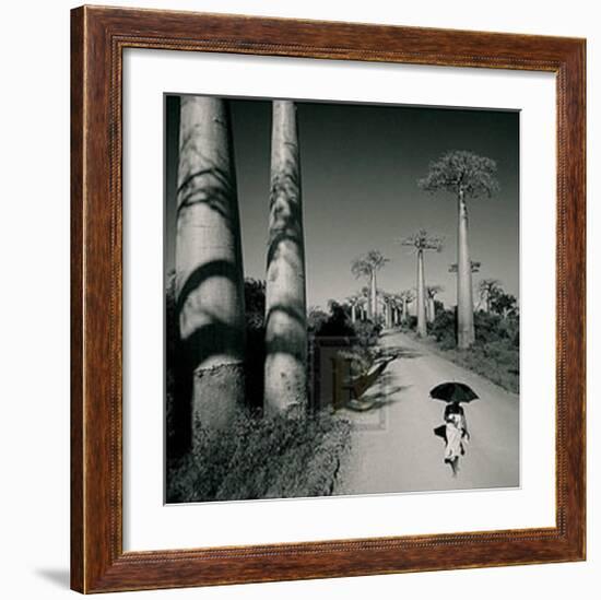 Allee des Baobabs II-Chris Simpson-Framed Art Print