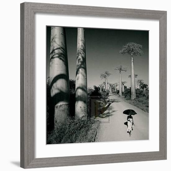 Allee des Baobabs II-Chris Simpson-Framed Art Print