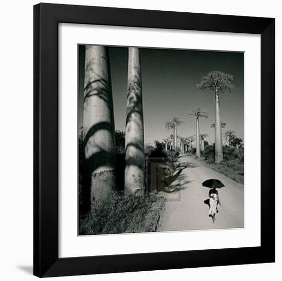 Allee des Baobabs II-Chris Simpson-Framed Art Print