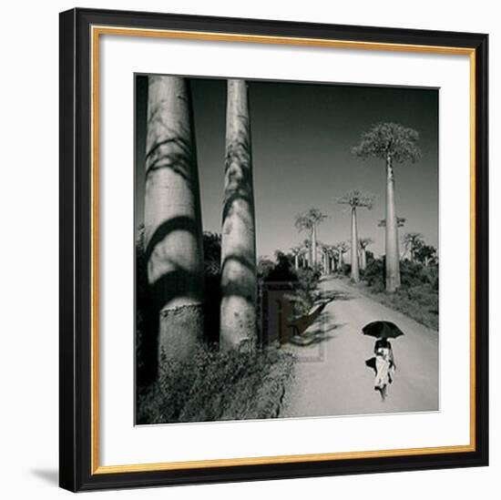 Allee des Baobabs II-Chris Simpson-Framed Art Print
