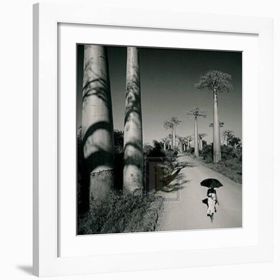 Allee des Baobabs II-Chris Simpson-Framed Art Print