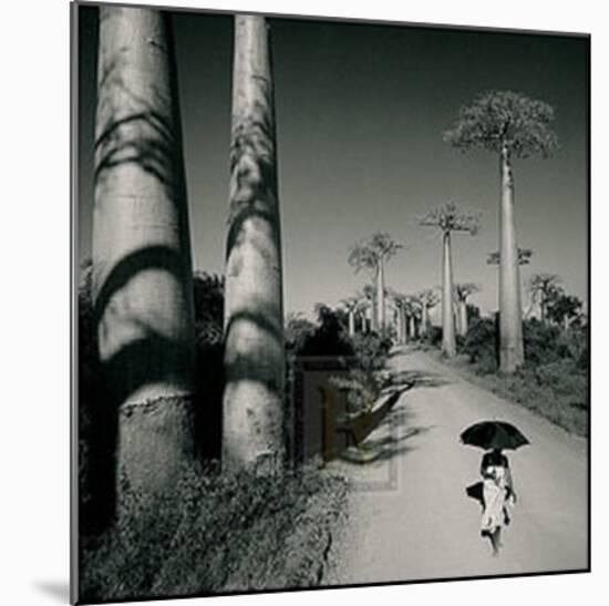 Allee des Baobabs II-Chris Simpson-Mounted Art Print