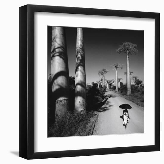 Allee Des Baobabs II-Chris Simpson-Framed Giclee Print