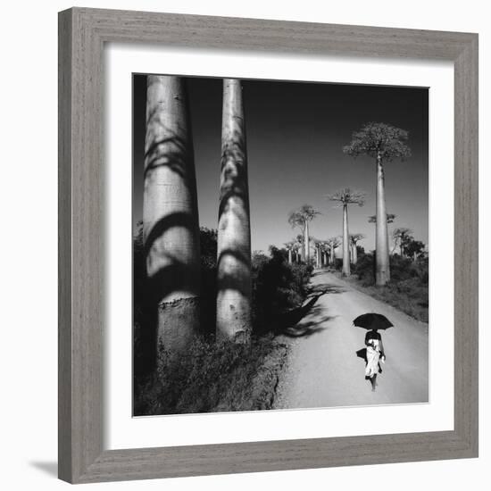 Allee Des Baobabs II-Chris Simpson-Framed Giclee Print