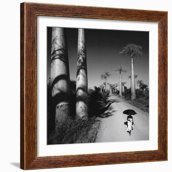 Allee Des Baobabs II-Chris Simpson-Framed Giclee Print