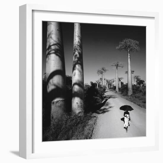 Allee Des Baobabs II-Chris Simpson-Framed Giclee Print