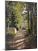 Allee sous-bois en Normandie, 1882-Gustave Caillebotte-Mounted Giclee Print