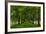 Allee Way-Steve Gadomski-Framed Photographic Print