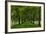 Allee Way-Steve Gadomski-Framed Photographic Print