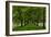 Allee Way-Steve Gadomski-Framed Photographic Print