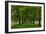 Allee Way-Steve Gadomski-Framed Photographic Print