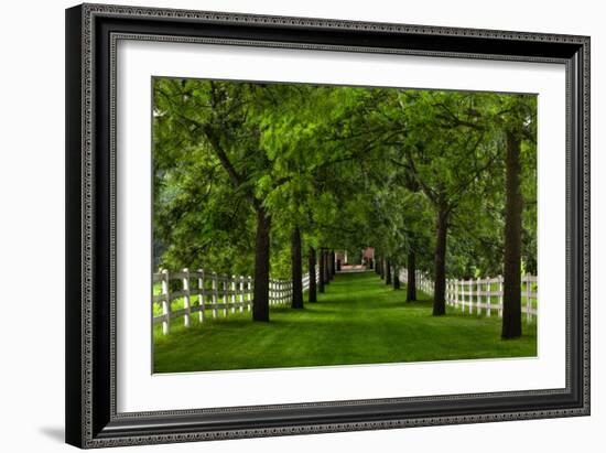 Allee Way-Steve Gadomski-Framed Photographic Print