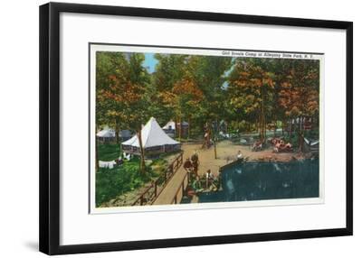 Allegany State Park New York View Of The Girl Scouts Camp Art