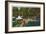 Allegany State Park, New York - View of the Girl Scouts' Camp-Lantern Press-Framed Premium Giclee Print