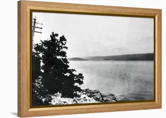 Alleged Image of Loch Ness Monster-null-Framed Premier Image Canvas