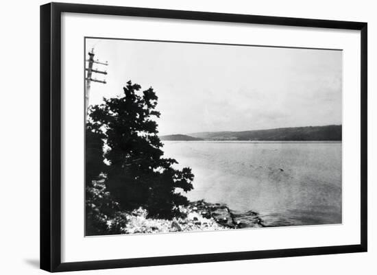 Photographic Print, , large
