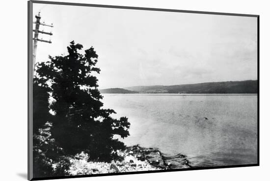 Alleged Image of Loch Ness Monster-null-Mounted Photographic Print