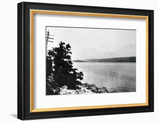 Alleged Image of Loch Ness Monster-null-Framed Photographic Print