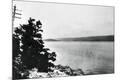 Photographic Print