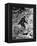 Alleged Photo of Bigfoot-Bettmann-Framed Premier Image Canvas