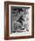 Alleged Photo of Bigfoot-Bettmann-Framed Premium Photographic Print