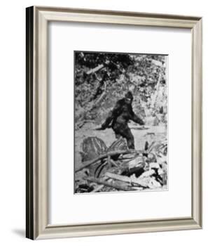 Alleged Photo of Bigfoot-Bettmann-Framed Photographic Print