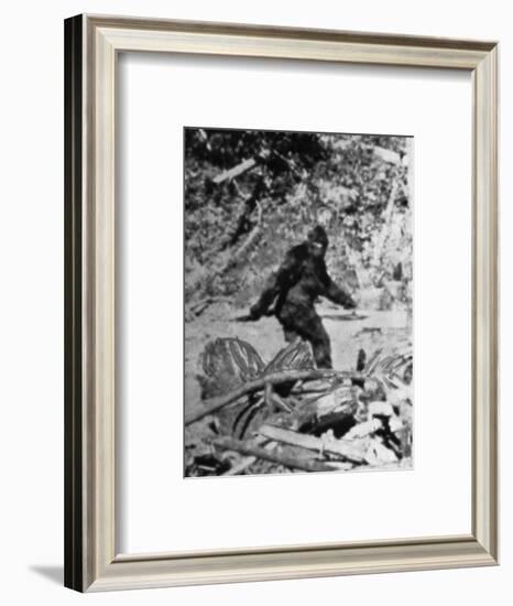 Alleged Photo of Bigfoot-Bettmann-Framed Photographic Print