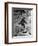 Alleged Photo of Bigfoot-Bettmann-Framed Photographic Print