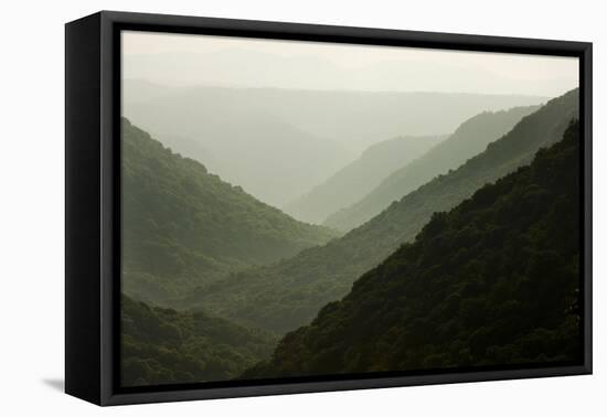 Allegheny Mountains in Babcock State Park-Paul Souders-Framed Premier Image Canvas