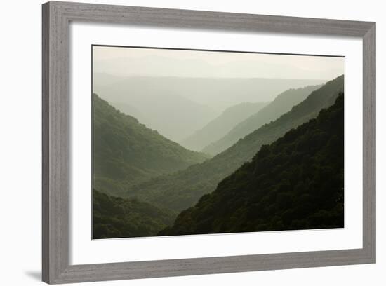 Allegheny Mountains in Babcock State Park-Paul Souders-Framed Photographic Print